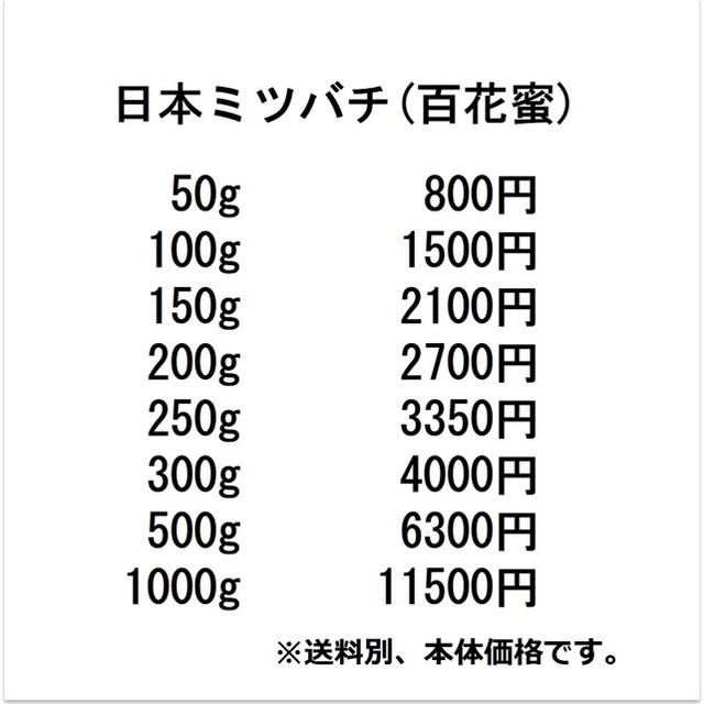 セール【非加熱・生はちみつ】4種セット・500g×4(4本)