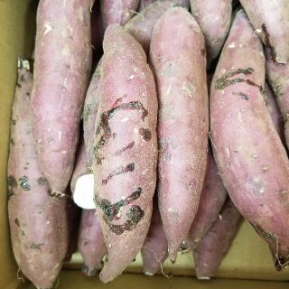 サツマイモ 紅はるかB級品 訳あり米袋入12.5キロ細長 特大 3S.極Ｓ曲がり(野菜)