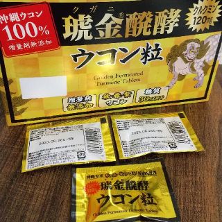 ウコン 錠剤 個包装 小分け 10袋 送料無料(その他)