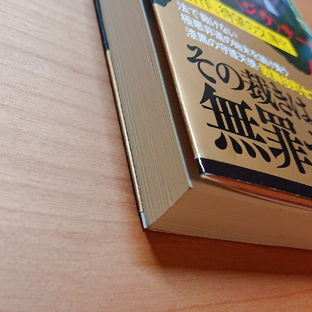 歌舞伎町ゲノム エンタメ/ホビーの本(文学/小説)の商品写真