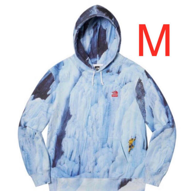 Supreme The North Face Ice Climb Hooded