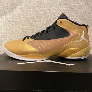 ナイキ(NIKE)のジョーダン FLY WADE EV 2 'GOLD COIN'29㎝Tシャツ付き(スニーカー)