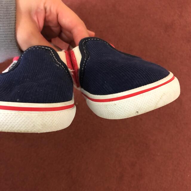 VANS(ヴァンズ)のvansスニーカー キッズ/ベビー/マタニティのベビー靴/シューズ(~14cm)(スニーカー)の商品写真