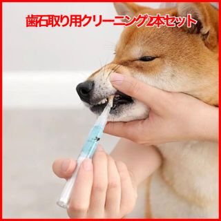 犬猫歯石取りクリーニングペン２本セット(犬)