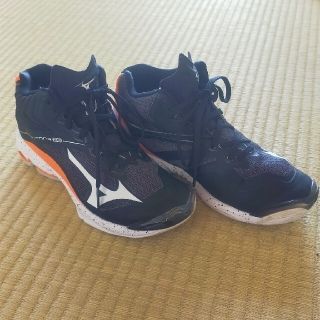 ミズノ(MIZUNO)のミズノ バレーシューズ 24.5センチ(バレーボール)