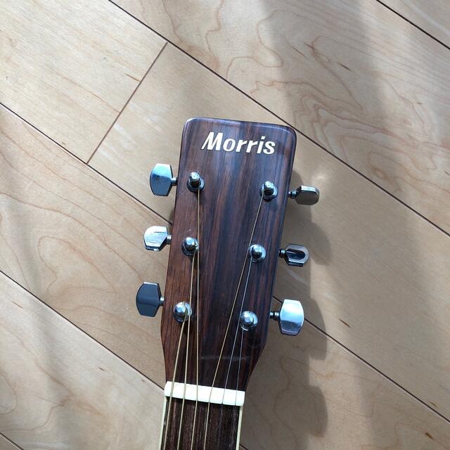 モーリスギター　MD-506