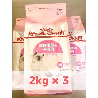 ロイヤルカナン(ROYAL CANIN)のロイヤルカナン キトン ROYAL CANIN 2kg×3袋セット 新品未開封 (ペットフード)