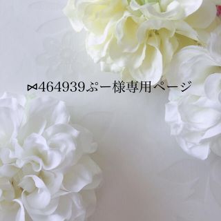 ꗯ464939ぷー様専用ページ(その他)