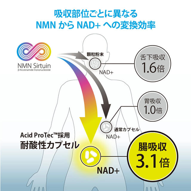  NMNサプリ 国産NMN99.9％ 配合 NMN Sirtuin3000 C  コスメ/美容のダイエット(ダイエット食品)の商品写真