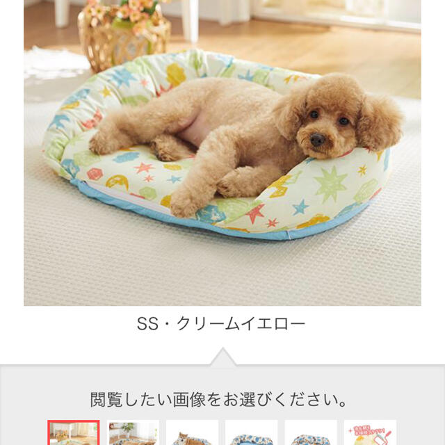 犬、猫用ベッド その他のペット用品(猫)の商品写真