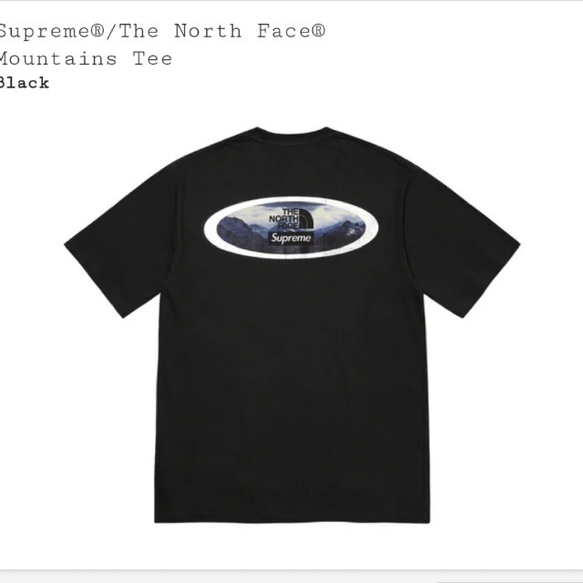 Tシャツ/カットソー(半袖/袖なし)Supreme /The North Face Mountains Tee 　Ｍ