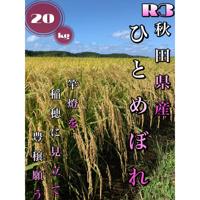 農家直送農家直送！令和3年 秋田県産【ひとめぼれ】玄米20kg 1等米 〈新米〉美味い☆