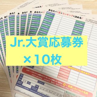 レノン様専用【Jr.大賞2021】応募用紙10枚セット(アイドルグッズ)