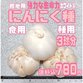 種ニンニク　暖地用ホワイト種　種・食用兼用　3球をバラシてネコポス送料込(野菜)