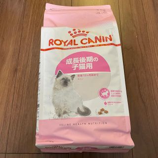 ロイヤルカナン(ROYAL CANIN)のロイヤルカナン キトン 2kg 未開封(猫)