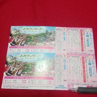 『翌日発送!』★よみうりランド入園ご招待券★乗り物券付き★２枚!(遊園地/テーマパーク)