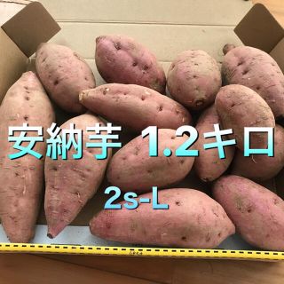 種子島産安納芋さつまいも(野菜)