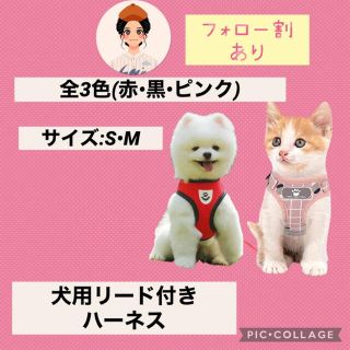 みーこ様専用レッドsペットハーネス 犬猫用 首輪 リード レッド(リード/首輪)