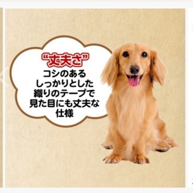 Petio  メリカジストライプ　カラー&リード２点セット　Ｌブラック　大型犬 その他のペット用品(犬)の商品写真