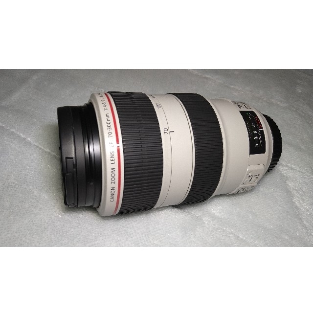 Canon EF 70-300mm F4-5.6 L IS