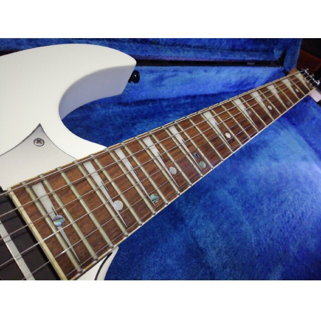 Ibanez(アイバニーズ)のIbanez RG350DX MOD Hyblid Silver Bk&Wh 楽器のギター(エレキギター)の商品写真