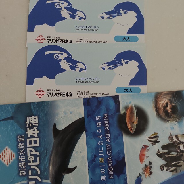 マリンピア日本海　入場券　水族館　へぎそば　食事券 チケットの施設利用券(水族館)の商品写真