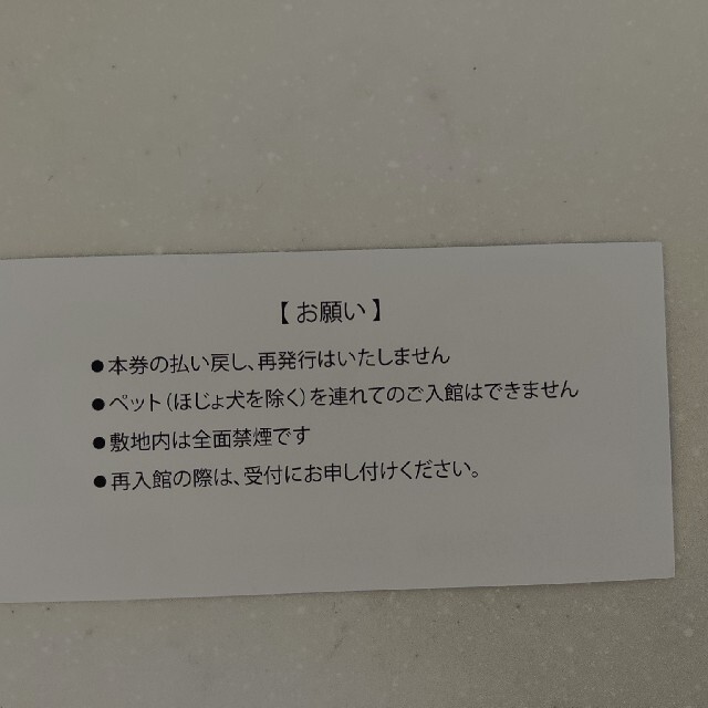 マリンピア日本海　入場券　水族館　へぎそば　食事券 チケットの施設利用券(水族館)の商品写真