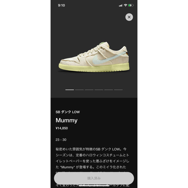 NIKE SB ダンク　ロー　mummy マミー　28センチ