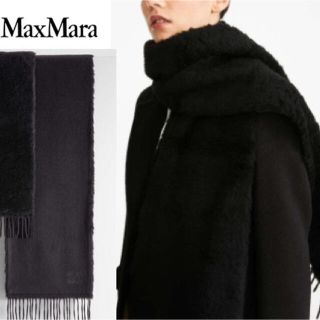 マックスマーラ(Max Mara)の新品♡最高級 白タグ マックスマーラ テディベア マフラー ショール ネイビー(マフラー/ショール)