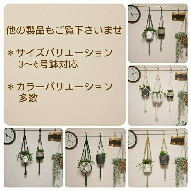 なー様専用  No.30 観葉植物 ハンギング ハンドメイドのインテリア/家具(インテリア雑貨)の商品写真