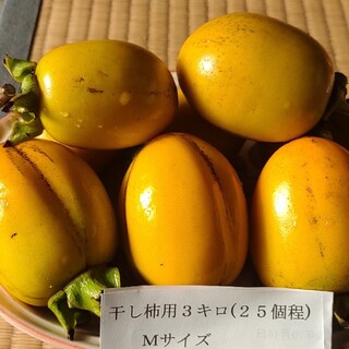 干し柿用渋柿❤️3㌔程T字枝付き(フルーツ)