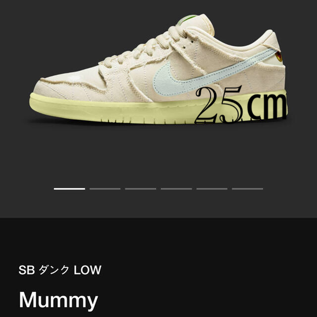 メンズ新品nike mummy 25cm