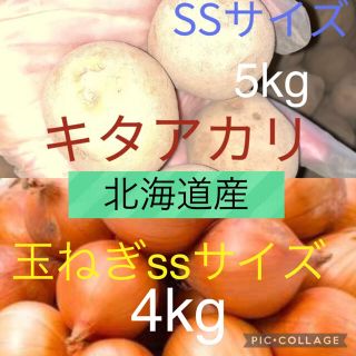 北海道産キタアカリss5kg玉ねぎss4kg(野菜)