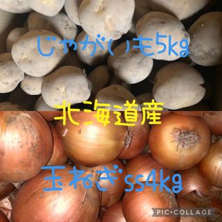 北海道産じゃがいも5kg玉ねぎssサイズ4kg(野菜)