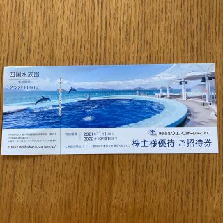 四国水族館　株主優待　招待券(水族館)