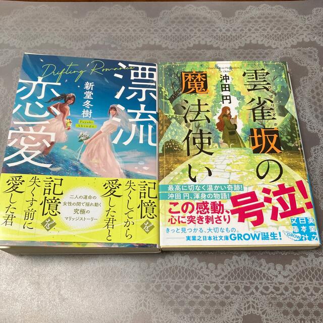 「雲雀坂の魔法使い」「漂流恋愛」２冊 エンタメ/ホビーの本(文学/小説)の商品写真