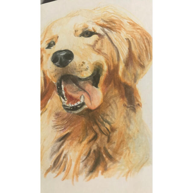 年間ランキング6年連続受賞 ドローイング パステル画 犬 イヌ ゴールデンレトリバー 絵画 色鉛筆画 原画 絵画 タペストリ Eca E Com
