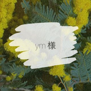 ym様♡⃛︎専用(ピアス)