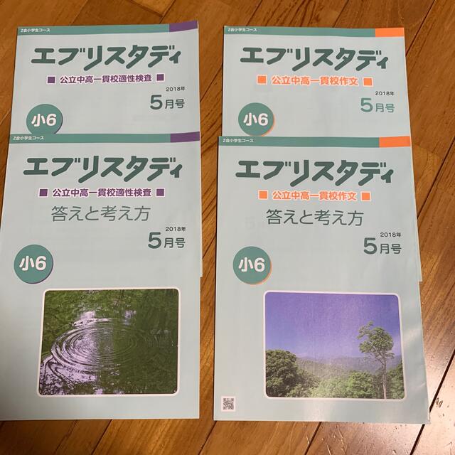 上質 Z会 エブリスタディ 小5作文 小6公立中高一貫校作文 一式 kead.al