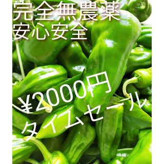 安心安全　完全無農薬　ピーマン　詰め合わせ(野菜)