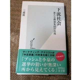 下流社会 新たな階層集団の出現(その他)