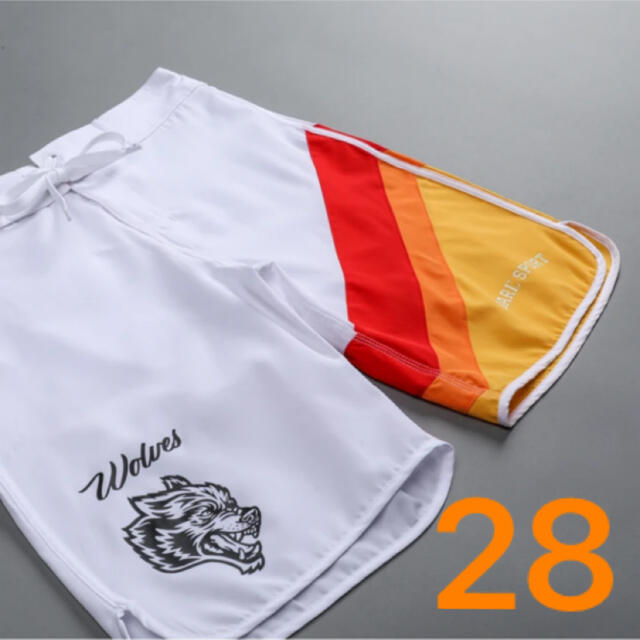 【試着のみ】DARC SPORT STAGE SHORTS 28 メンズのパンツ(ショートパンツ)の商品写真