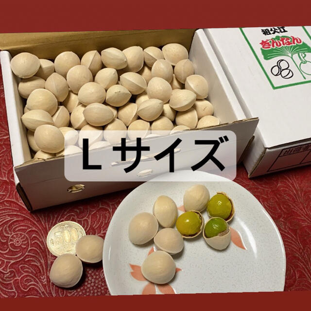 祖父江銀杏　久寿　1Lサイズ 食品/飲料/酒の食品(野菜)の商品写真