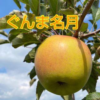 幻のリンゴ　ぐんま名月　家庭用2キロ箱込み(フルーツ)