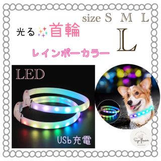 ○　新品　光る✨首輪　ホワイト　レインボー点滅　USB充電ケーブルつき　LED(犬)