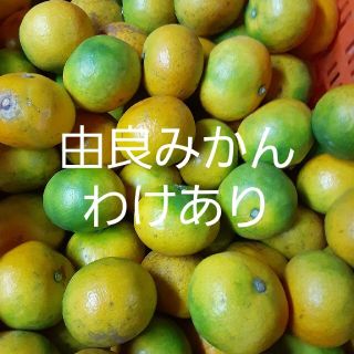 和歌山県有田産　わけあり由良みかん5kg(フルーツ)