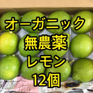 オーガニック　無農薬レモン　12個(その他)