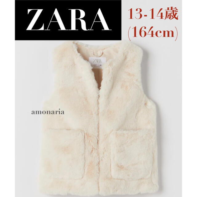 Zara 新品 未着用 Zara フェイクファーベスト ファーベスト ベスト ジレの通販 By Selet Shop ザラならラクマ Zara 新品 未着用 Zara フェイクファーベスト ファーベスト ベスト ジレの通販 By Selet Shop ザラならラクマ