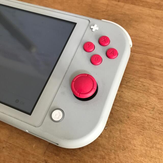 Nintendo Switch(ニンテンドースイッチ)のNintendo Switch Lite ザシアン・ザマゼンタ エンタメ/ホビーのゲームソフト/ゲーム機本体(家庭用ゲーム機本体)の商品写真