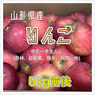 502 山形県産 りんご 5kg前後 訳あり 品種おまかせ (フルーツ)